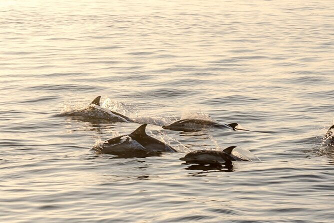 romatic-sea-experience-sunset-overnight-breakfast