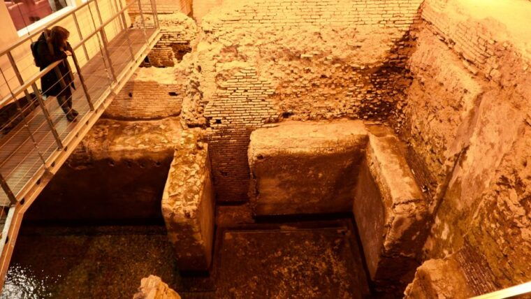 rome-3-hour-highlights-and-underground-guided-walking-tour