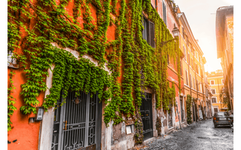 rome-aperitif-at-sunset-and-trastevere-walking-tour