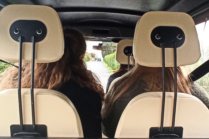 rome-appian-way-catacombs-guided-tour-with-golf-cart-shuttle-2