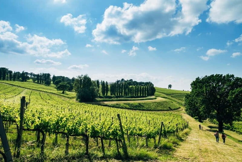 Rome: Assisi, Montefalco wines & Perugia Day Trip with Lunch - The Itinerary: A Well-Rounded Journey Through Umbria
