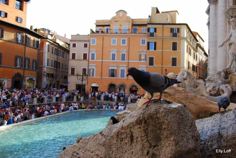 rome-basic-city-walking-tour