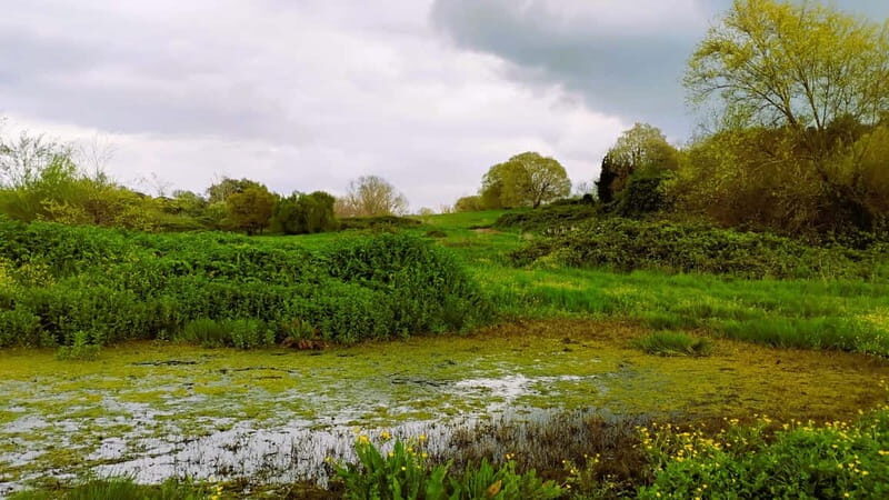 Rome: Caffarella Park Guided Walking Tour - An In-Depth Look at the Tour Experience