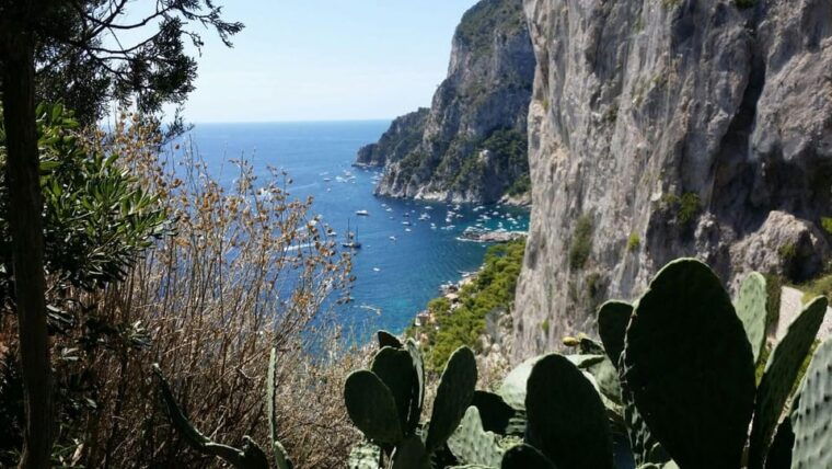 rome-capri-day-trip-with-private-driver-and-guide