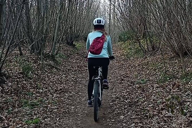 rome-castelli-romani-day-trip-by-train-and-e-bike