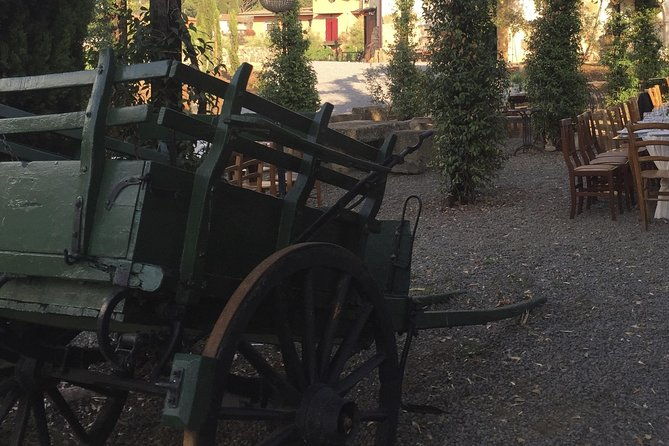 rome-castelli-romani-private-wine-tasting