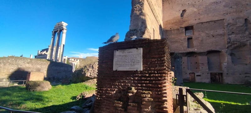 Rome: Colosseum ARENA FLOOR - Private Tour - Key Points