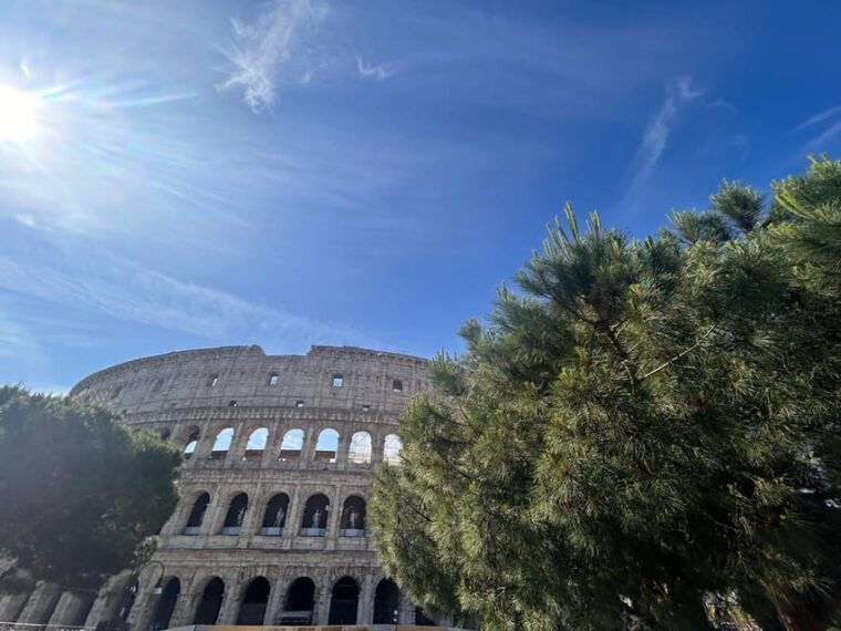 rome-colosseum-arena-roman-forum-palatine-tour