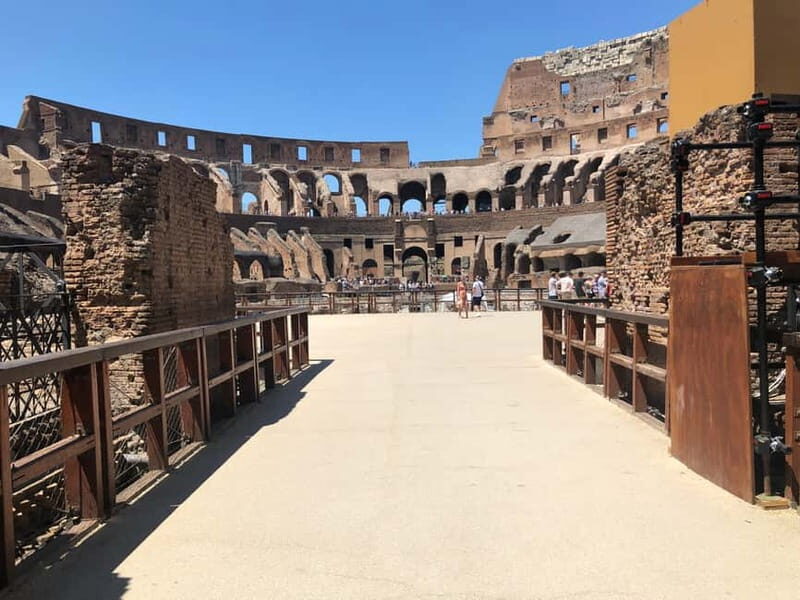 Rome: Colosseum Dungeon, Forum & Palatine Hill VIP Tour - An In-Depth Look: What to Expect from the Tour