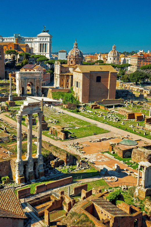 rome-colosseum-forum-and-palatine-hill-guided-tour