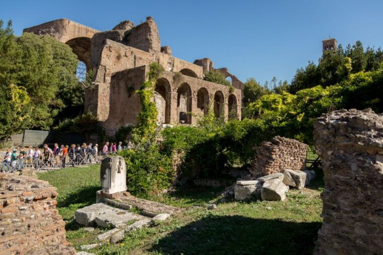 rome-colosseum-forum-and-palatine-hill-private-guided-tour