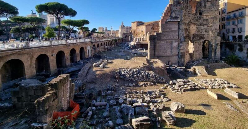 rome-colosseum-palatine-hill-and-roman-forum-guider-tour