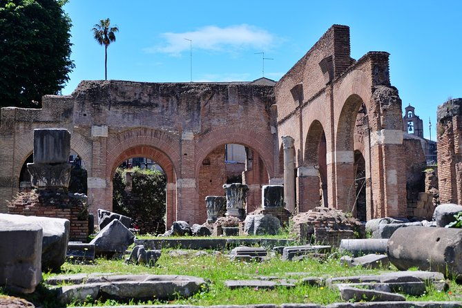 rome-colosseum-palatine-hill-and-roman-forum-tour