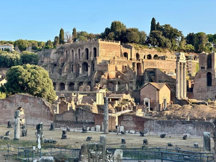 rome-colosseum-roman-forum-and-palatine-hill-guided-tour-11