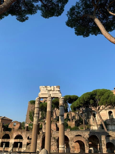 rome-colosseum-roman-forum-and-palatine-hill-guided-tour-13