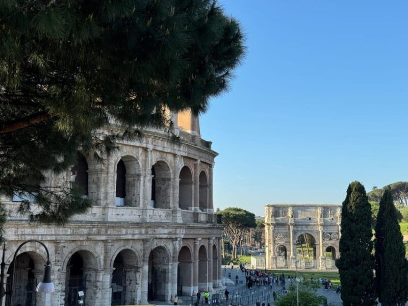 rome-colosseum-roman-forum-and-palatine-hill-guided-tour-15