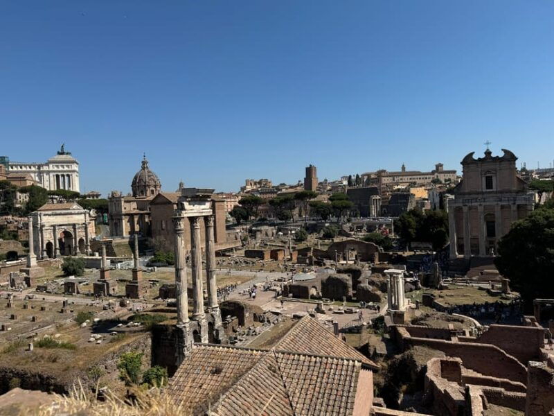 rome-colosseum-roman-forum-and-palatine-hill-guided-tour-15