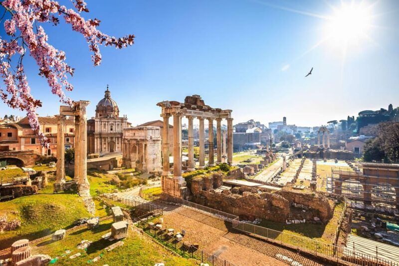 rome-colosseum-roman-forum-and-palatine-hill-guided-tour-2