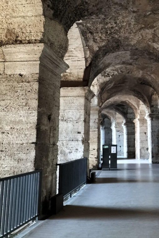 rome-colosseum-roman-forum-and-palatine-hill-guided-tour-2