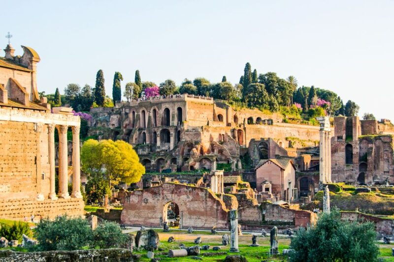 rome-colosseum-roman-forum-and-palatine-hill-guided-tour-8