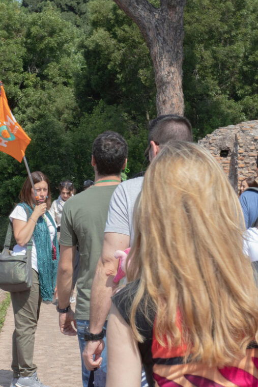 rome-colosseum-roman-forum-and-palatine-hill-guided-tour-9