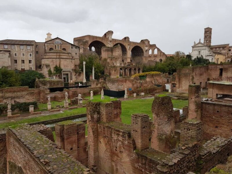 rome-colosseum-roman-forum-and-palatine-hill-private-tour-2