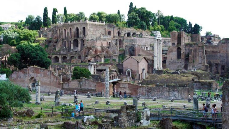 rome-colosseum-roman-forum-and-palatine-hill-private-tour
