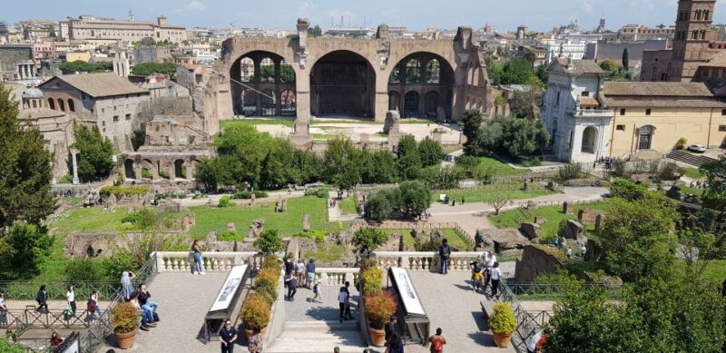 Rome: Colosseum, Roman Forum & Palatine Hill Guided tour - Who Will Love This Tour?