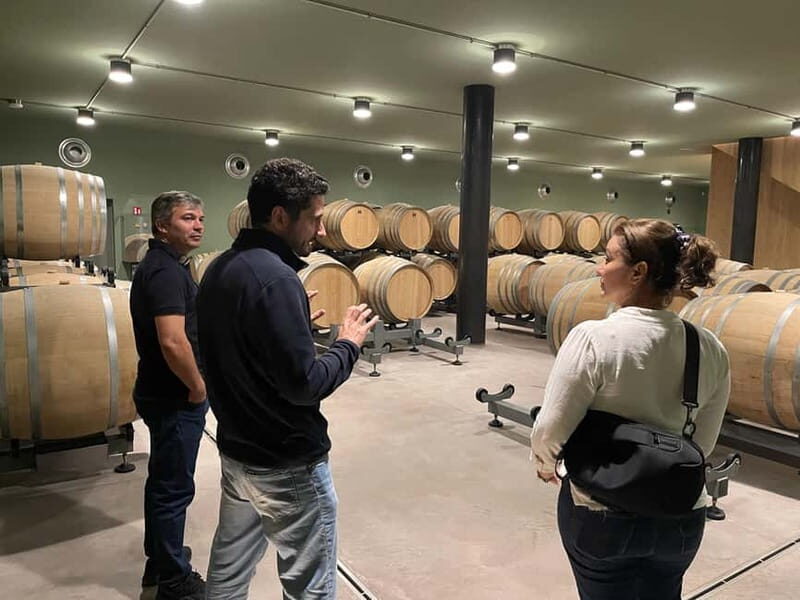 Rome Countryside: Wine Tasting Tour with Private Driver - Who Would Love This Tour?