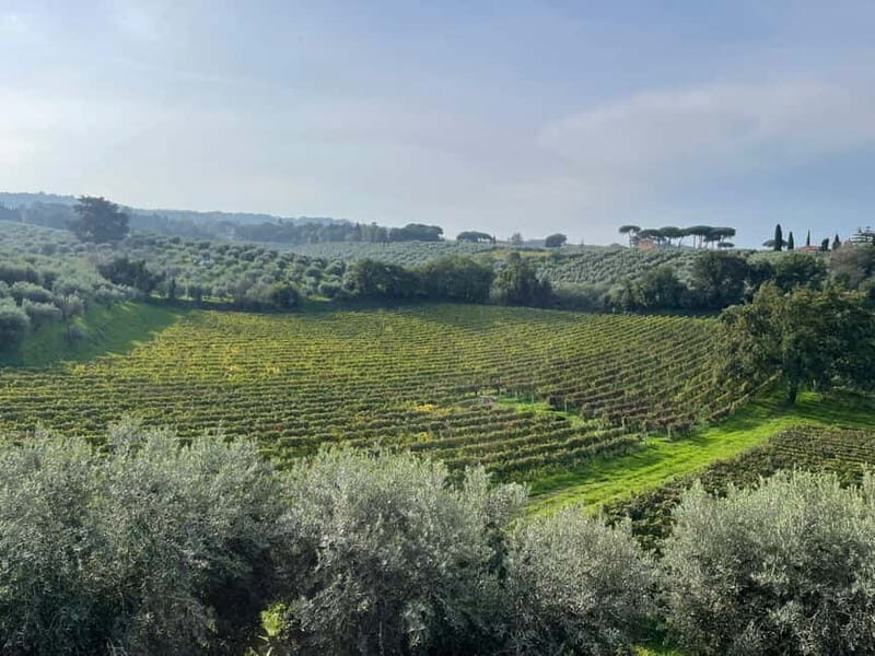 Rome Countryside: Wine Tasting Tour with Private Driver - Frequently Asked Questions