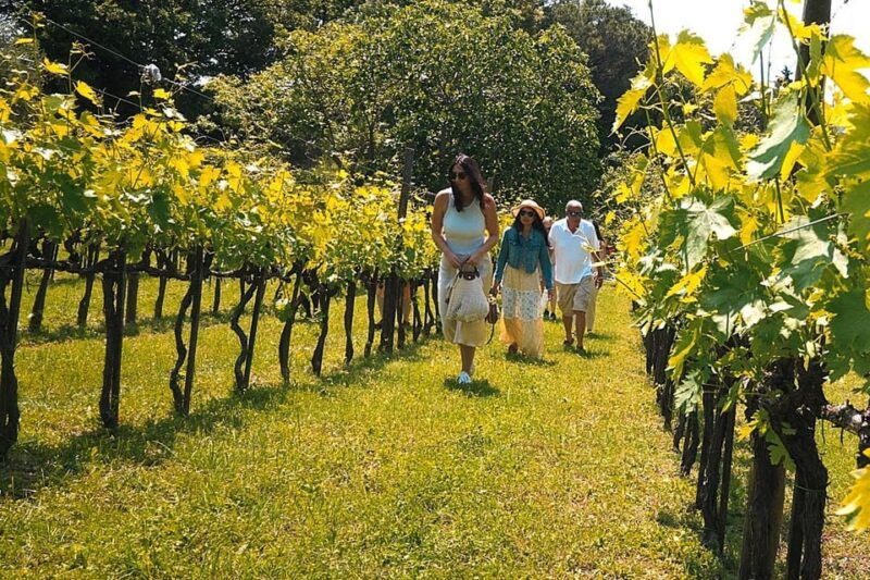 rome-countryside-wine-tasting-tour-with-private-driver