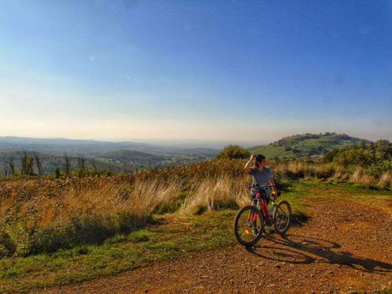 rome-frascati-vineyard-bike-tour-with-train-tickets-2