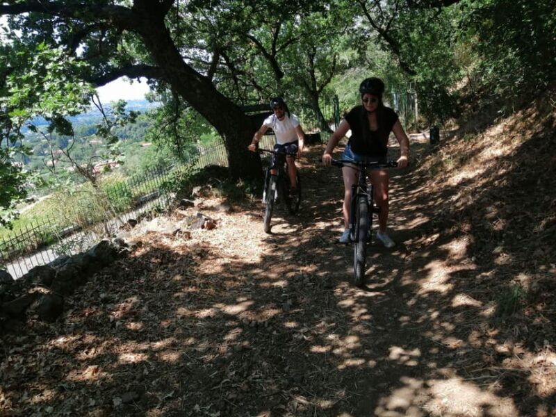 rome-frascati-vineyard-bike-tour-with-train-tickets-2