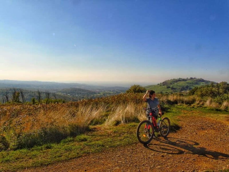 Rome: Frascati Vineyard Bike Tour with Wine Tasting - Key Points