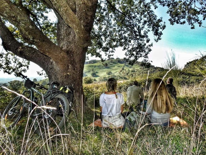 Rome: Frascati Vineyard Bike Tour with Wine Tasting - An Authentic Day Outside Rome