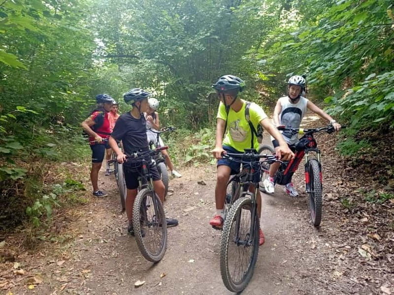 Rome: Frascati Vineyard Bike Tour with Wine Tasting - Who Will Love This Tour?