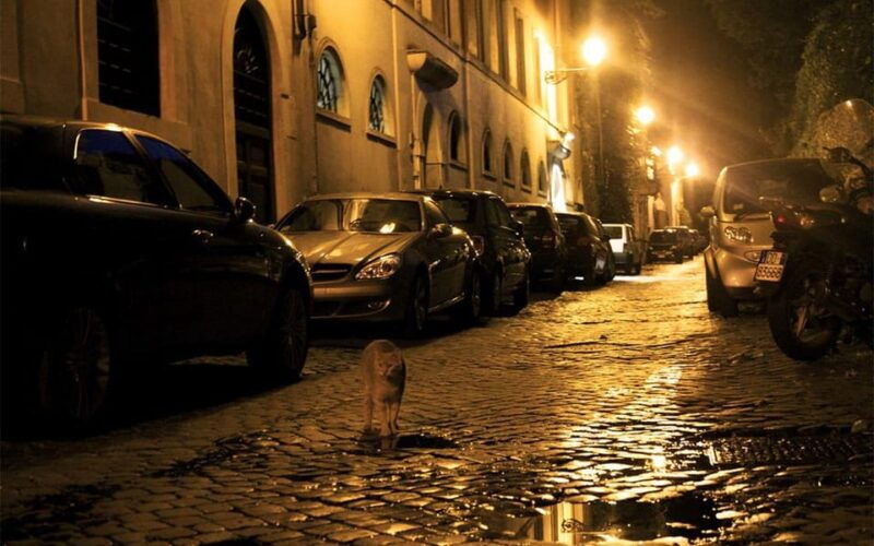 rome-ghosts-inquisition-in-dark-backstreets-walking-tour