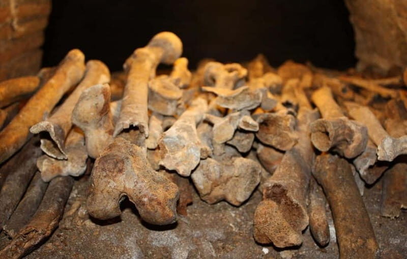 Rome: Half Day Tour to Discover the Underground Secrets - Why This Tour Stands Out