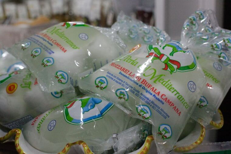 rome-italian-food-and-wine-guided-tasting-experience