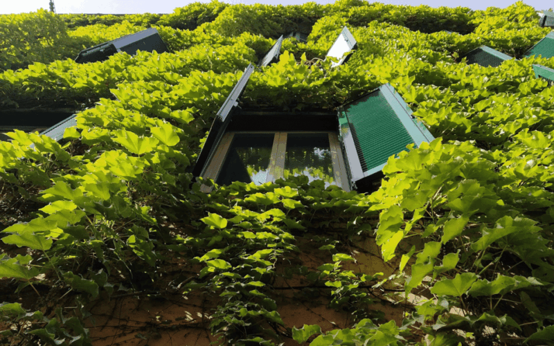 rome-monti-sustainable-fashion-tour-personal-shopper