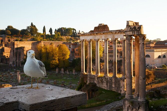 rome-no-queue-colosseum-and-romes-ancient-forum