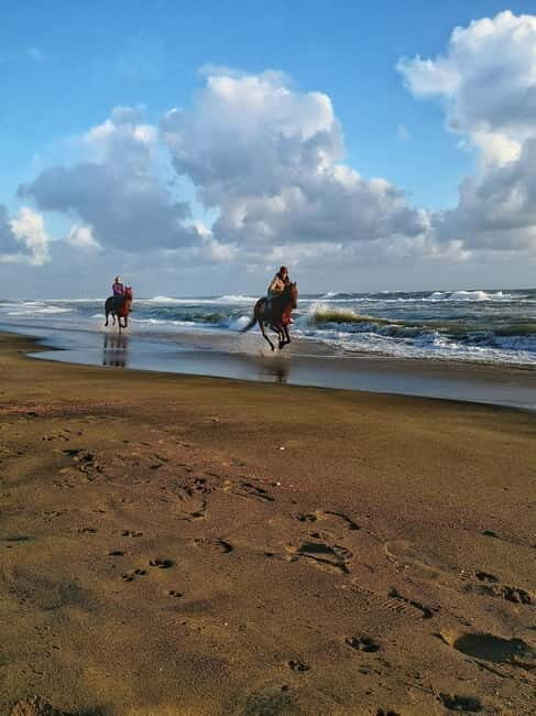 Rome on Horseback : Ancient Ostia & the beach with Aperitif - An In-Depth Look at What to Expect