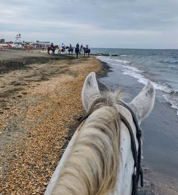Rome on Horseback : Ancient Ostia & the beach with Aperitif - Who Will Love This Tour?