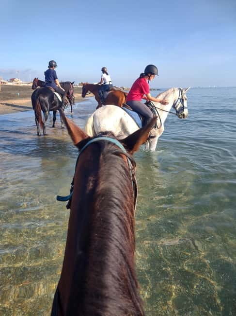 Rome on Horseback : Ancient Ostia & the beach with Aperitif - Final Thoughts
