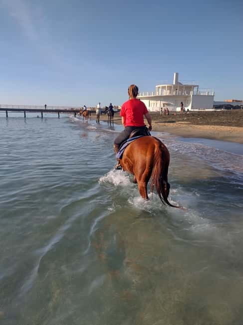Rome on Horseback : Ancient Ostia & the beach with Aperitif - FAQ