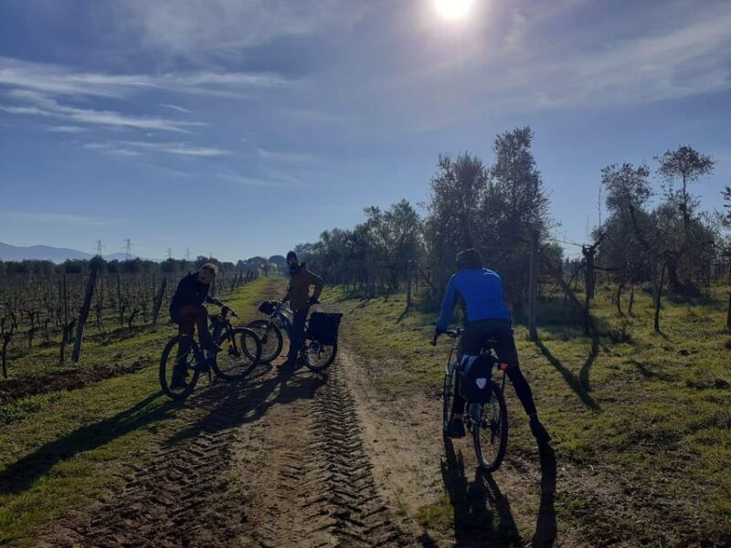 rome-orvieto-and-civita-di-bagnoregio-day-trip-by-train