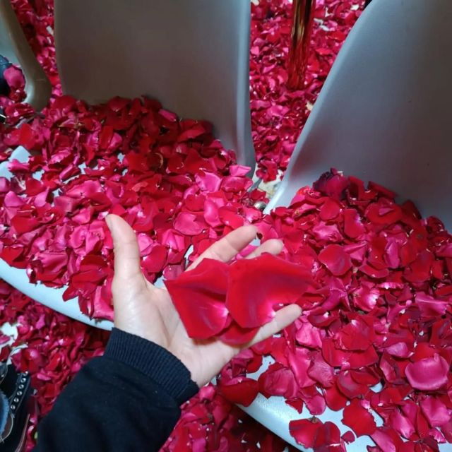 rome-pantheon-guided-tour-with-entry-ticket-and-headsets