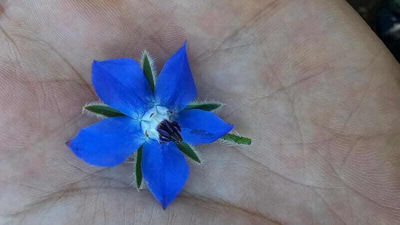 Rome: Parco degli Acquedotti Guided Walking Tour - Who Will Love This Tour?