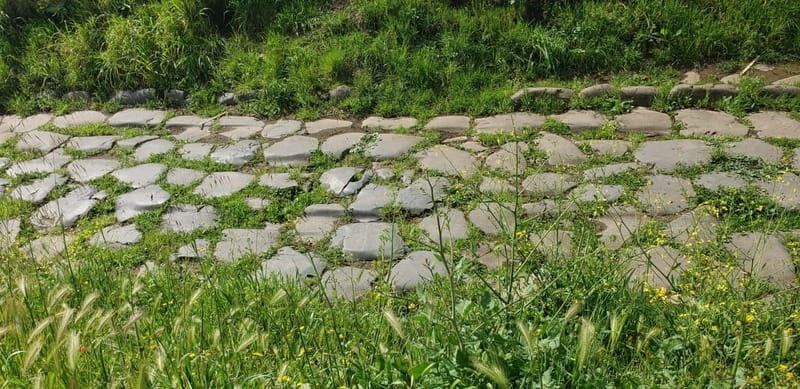 Rome: Parco degli Acquedotti Guided Walking Tour - FAQ