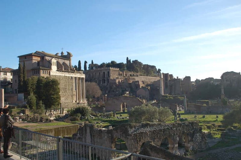 Rome: Private Ancient Colosseum and Roman Forum Tour - A Closer Look at the Tour Experience
